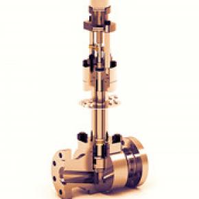 Cryogenic Globe Valve